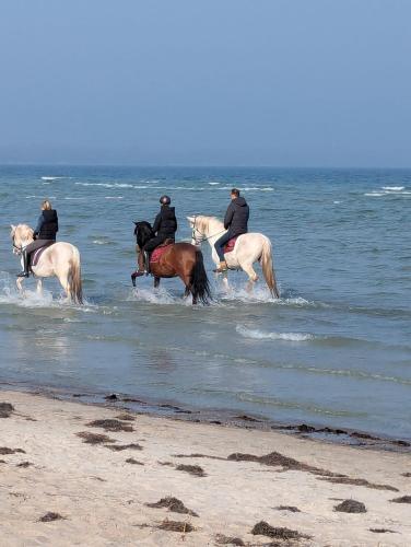 Oberdeck Ostsee in Klütz, Deutschland