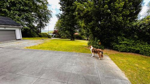 Fernblick in Morsbach
