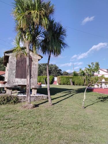 LA CAMELIA in 科韋洛