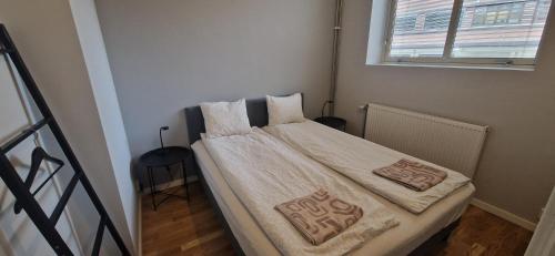 Cozy 1 bedroom apartment in Oslo Sentrum, Oslo (fotografie 5)