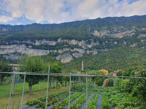 ポンツァ Antico Borgo Fonzaso 4つ星 シングルルーム 客室