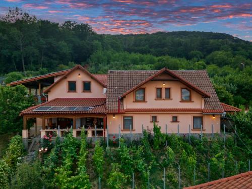 Casa Adam - Sighişoara