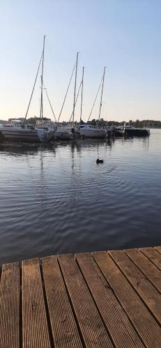 Przystań parking ogródek blisko jeziora i mariny dla jachtów