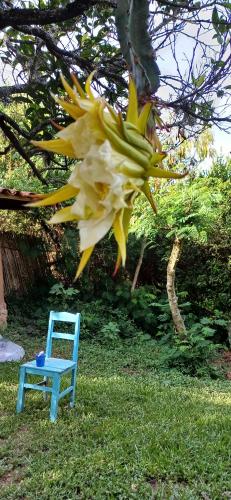 Garden, El Jardin in Samaipata
