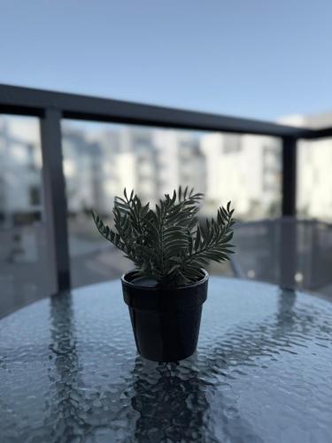 Apartament Nad Rzeką
