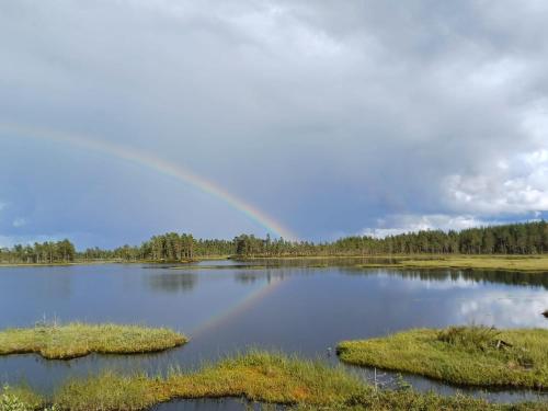 Holiday home in Stollet in Backa