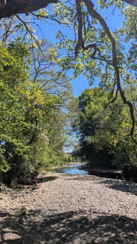 Apkārtne, Tranquil Cabin Retreat- Sleeps 2 Parking in Llangadfan