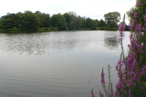 Walden on the Pond