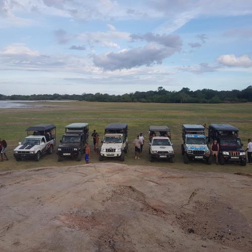 Kumana safariThapobane safari service in Panama