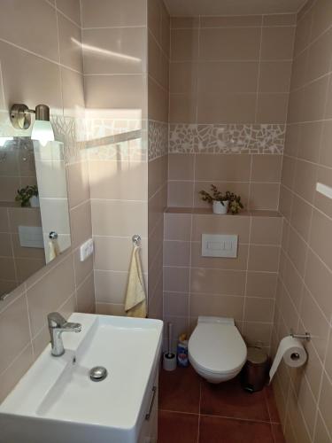 douche, Apartmán Na Leštině (Apartman Na Lestine) in Pribram