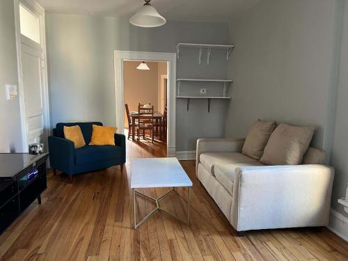 South Loop 3 Bedroom Apt - image 6