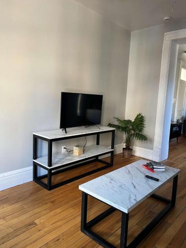 South Loop 3 Bedroom Apt - main image