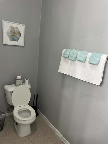 South Loop 3 Bedroom Apt - image 8