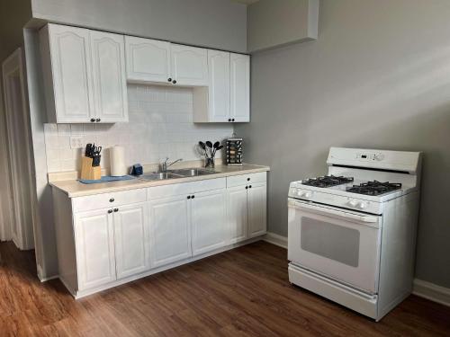 South Loop 3 Bedroom Apt - image 7