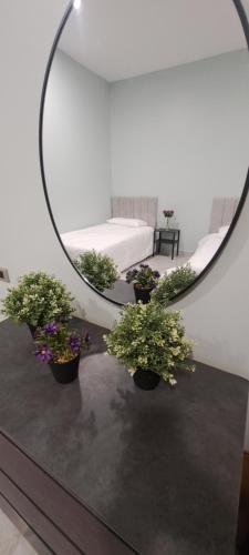 Lavender Apartment