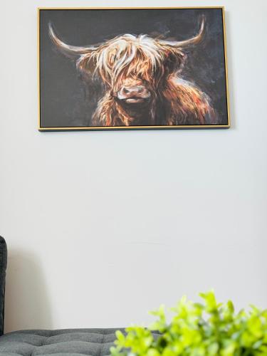 Block 2 Flat 17 Westfield Court - image 2