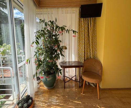 Luxuriöses Doppelzimmer in Oberkassel, Düsseldorf (Foto 3)