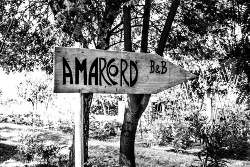 Amarcord, Bagnoregio (fotografie 6)