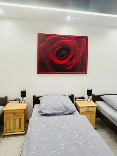 Apartament pod ŚWIERKIEM