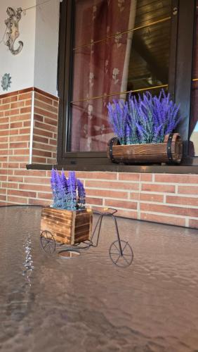 Gavira's Home in Playa Honda