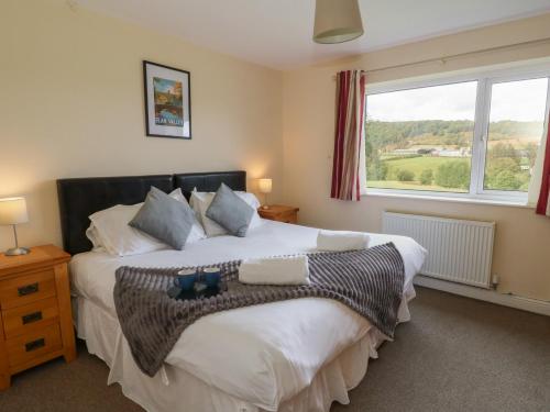 Glanyrafon Bungalow Rhayader - image 14