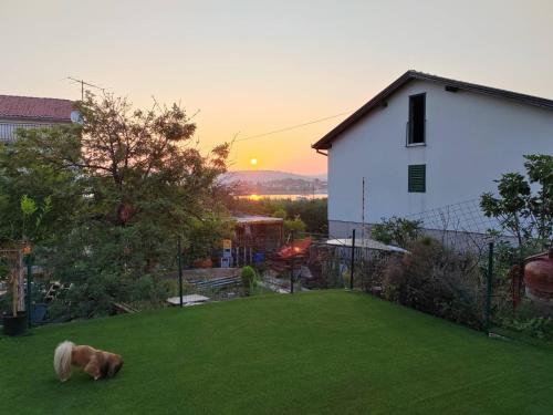 Skats, Apartman Cvita in Bilice