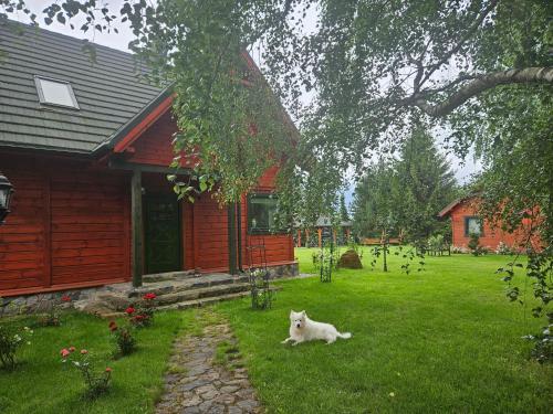 Skats, Villa Green Oasis Narie in Pojezierce