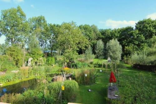 Reijgershof - Yurt Experience with garden view - image 2