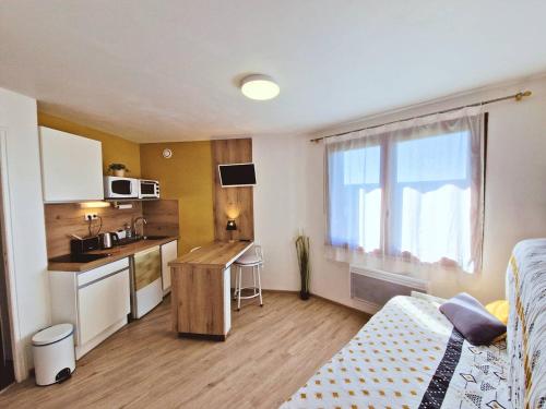 Studio 2 pers au pied des pistes - Ski et rando - FR-1-393-185 in แซ็ง-มิเชล-เดอ-แชยอล