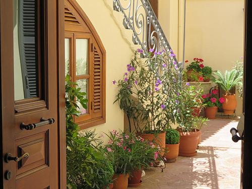 Phaedra Hotel - image 10