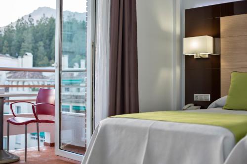 Hotel Baviera - image 13