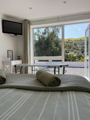 Forest View Annexe - Devil's Bridge