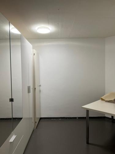 Beautiful and bright studio flat right in front of Zurich lake, Curych (fotografie 8)