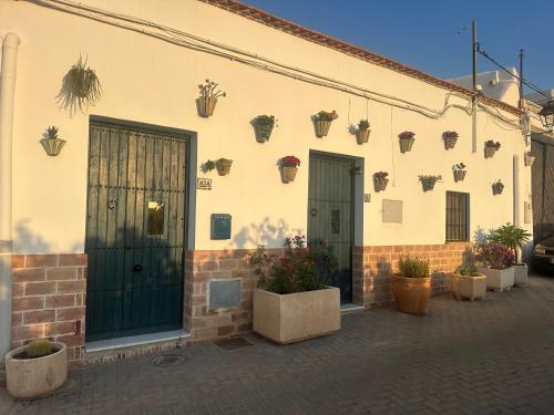 FlorCactus, Níjar