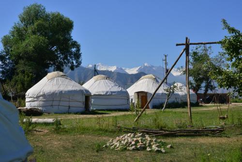 Jurten Camp Almaluu Tosor