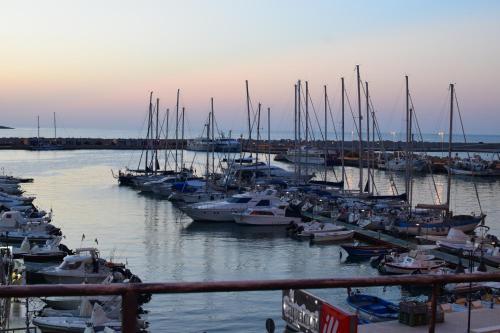 Argeste Club Vacanze