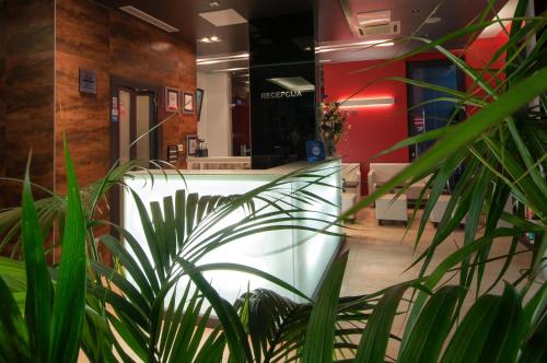 ردهة, Hotel Maritimo in ماكارسكا