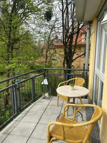 Helle Wohnung am Waldpark, Dresden (foto 9)