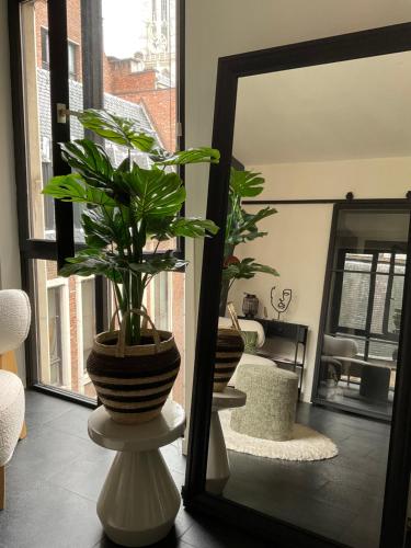 Appartement historisch centrum Antwerpen, Amberes (foto 7)