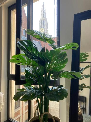 Appartement historisch centrum Antwerpen, Amberes (foto 9)