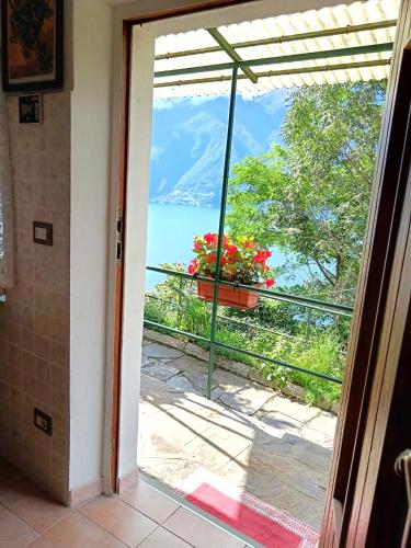 Il Glicine sul Lago in 特隆扎諾拉戈馬佐雷