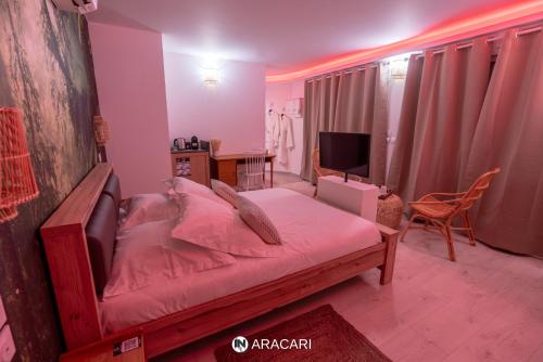 Aracari in Villars-les-Dombes