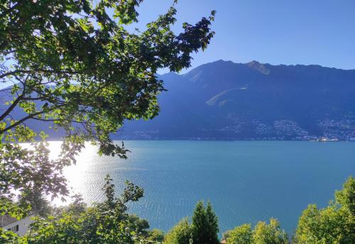 Il Glicine sul Lago in 特隆扎諾拉戈馬佐雷