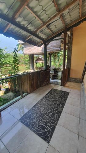 Sumatra Cheeky Monkeys in Bukit Lawang