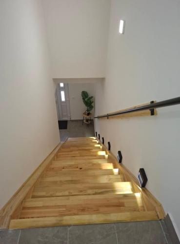 Burence -m in ชุการิกา