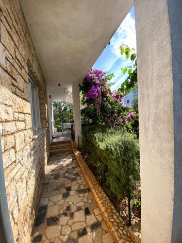Facilities, Nora in Rovinj