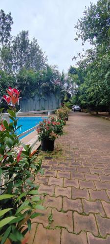 สระว่ายน้ำ, Atithi Devo Resort Coorg by LexStays in จิกกวัททาราเกเร