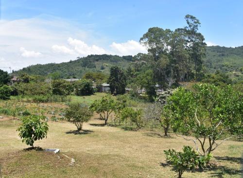 El Paraíso (El Paraiso) in โลสคริสตาเลส เตคาเรส