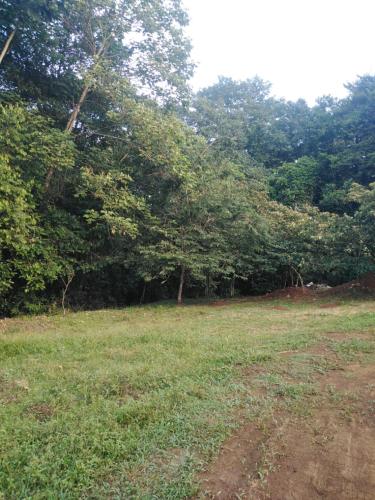 Вид, Finca Chavela in Guadalupe