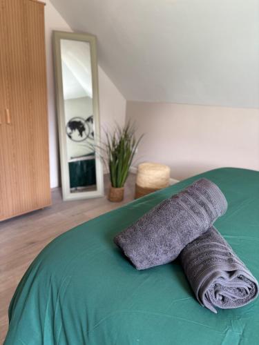 Le Col'Vert - Appartement 50m2 - Colmar Centre, Colmar (fotografie 3)